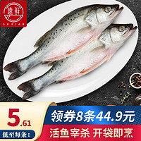 新鲜活冻三去开背开腹白蕉海鲈鱼 海鲈鱼250克（2袋装）*4份共8条