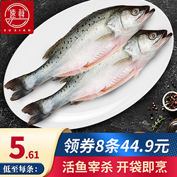 SuXian 速鲜 新鲜活冻白蕉海鲈鱼净重250g*4袋（共8条）