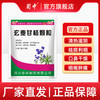 蜀中玄麦甘桔颗粒10g*20袋咽喉肿痛清热滋阴祛痰利咽口鼻干燥慢性咽炎 1包