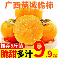 甜果源 广西恭城脆柿 巧克力脆柿子 新鲜水果 9斤装