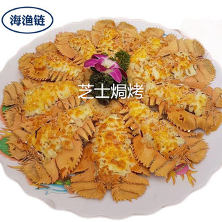 活冻琵琶虾  九齿扇虾 虾姑排虾排 海鲜水产生鲜 琵琶虾 1公斤约（7-10只）装