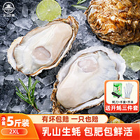 乳山牡蛎 鲜活乳山生蚝2XL号 户外烧烤食材 净重2.5kg 18-25只