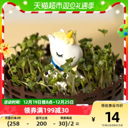 大都会艺术博物馆 独角兽夜光种草长草植物diy摆件送草籽创意礼物