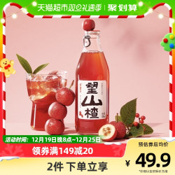 HOPE WATER 好望水 望山楂 山楂果汁气泡水 300ml*6瓶