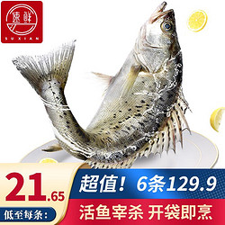 SuXian 速鲜 活冻三 去白蕉海鲈鱼 200-250g*6条