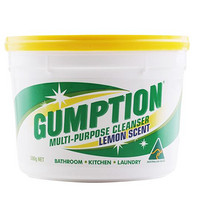 GUMPTION 多功能清洁膏 500g 柠檬味