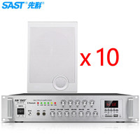SAST/先科 一拖十 壁挂式音响套装
