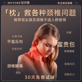 诺伊曼（noyoke）颈椎枕头睡觉艾草加热按摩颈椎家用助睡眠圆柱颈枕 咖啡色 基础款
