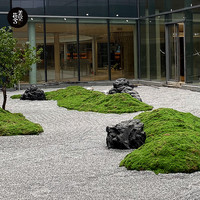 MKNOVO 美空 仿真苔藓装饰造景人造草皮橱窗布置青苔微景观假绿植盆景/美空402