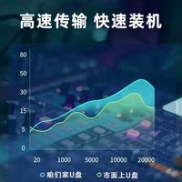 宾倾 电脑系统重装u盘