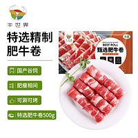 牛世界 黄牛肥牛卷500g/袋 国产谷饲冷冻牛肉卷生鲜牛肉火锅食材