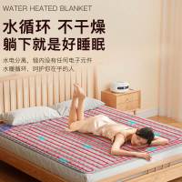 水暖电热毯双人水循环电热毯家用单人水热毯床垫水暖毯