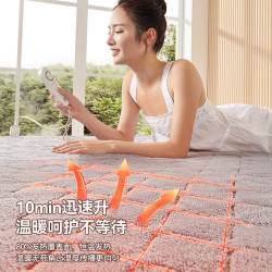 电热毯单人双人电褥子双控调温宿舍家用学生安全水暖毯正品