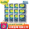 Driscoll's Only the Finest Berries 怡颗莓 当季云南蓝莓 国产蓝莓 新鲜水果 云南当季125g*12盒