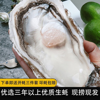 乳山生蚝 鲜活特大牡蛎 5斤装 单只3-4两 +顺丰冷链