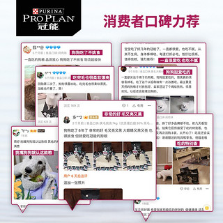 PRO PLAN 冠能 泰迪博美比熊雪纳瑞挑食美毛成犬粮