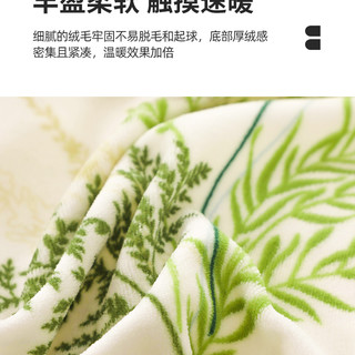 ins冬季牛奶绒四件套加厚双面被套珊瑚法兰绒床单床笠三4床上加绒