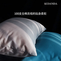 SIDANDA 诗丹娜 100支纯色全棉枕套匹马棉枕头套 加大枕芯套侧睡枕套单只