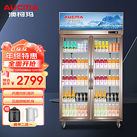 澳柯玛（AUCMA）商用立式冷藏展示柜冰柜 双门保鲜柜冷柜 水果保鲜超市饮料陈列柜650升 LSC-660D