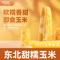 禾田欢 玉米新鲜糯玉米东北黄糯嫩甜糯玉米真空即食代餐黄糯9号