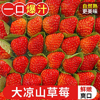 甜艾妮 四川大凉山红颜奶油草莓 3斤 大果（单果25g-30g）