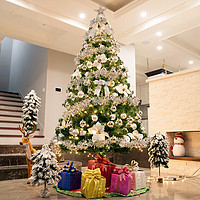 君吻 圣诞树家用大型装饰仿真摆件圣诞节场景布置套餐氛围带灯 1.2米银色耶诞树