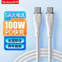 Yoobao 羽博 Type-C数据线双头PD100W快充线   冰霜银