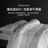 家装季：SIDANDA 诗丹娜 波兰进口95白鹅绒冬被 200*230cm