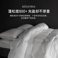 SIDANDA 诗丹娜 波兰进口95白鹅绒冬被 200*230cm