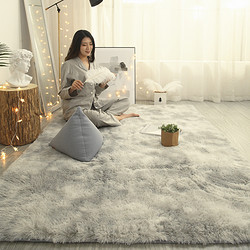华秀地毯 地毯卧室客厅2023新款床边地垫冬天冬季家用轻奢高级垫子房间全铺