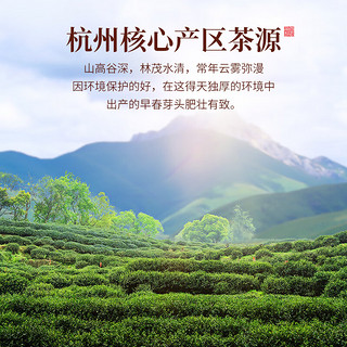 陈一凡 龙井茶 茶叶绿茶2023新茶春茶 便携小方片礼盒装30g