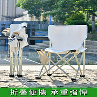 闪电客 户外折叠椅子闪电客便携式高级垂钓钓鱼椅美术写生椅画椅自驾游露营桌椅