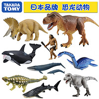 TAKARA TOMY 多美 日本TOMY多美卡安利亚儿童仿真野生动物模型玩具恐龙蜿龙剑龙暴龙
