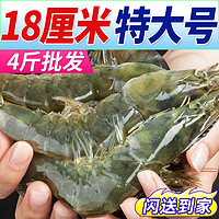 XYXT 虾有虾途 新鲜冷冻青岛大虾4斤一箱批发16-18厘米