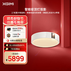 XGIMI 极米 神灯家用吸顶灯投影仪