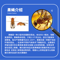 海灭士果蝇引诱剂飞虫捕捉克星水果店生鲜超市餐厅家庭厨房杀虫剂