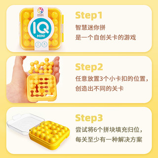 Smart Games 爱思极 智慧迷你拼