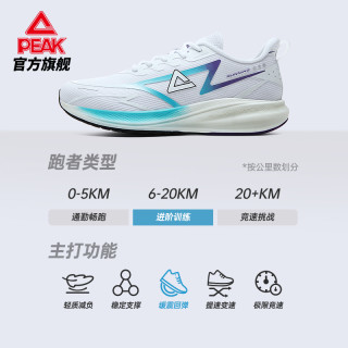 PEAK 匹克 态极翎云跑步鞋男鞋秋冬季缓震支撑训练鞋跑步运动鞋