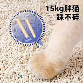 猫砂混合猫砂豆腐猫砂除臭膨润土砂低尘吸臭猫咪用品2.4kg