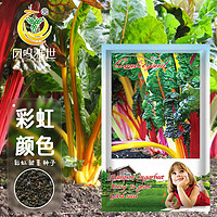 凤鸣雅世 彩虹甜菜种子观赏彩色四季蔬菜种孑彩虹甜菜种子500克Vip价格