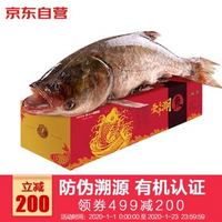 CHINGREE 查干湖 鱼 冷冻有机胖头鱼 冬捕十号 5.5-6斤 1条 海鲜礼盒 年货