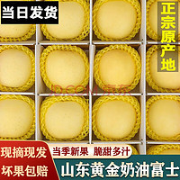 OIMG 山东烟台黄金奶油富士苹果 精选奶油苹果5斤 6-9个