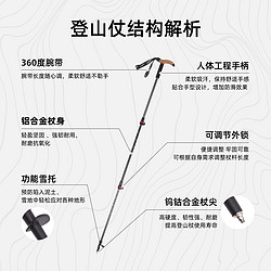 TOREAD 探路者 登山杖户外专业徒步爬山装备多功能轻便伸缩便携防滑手杖