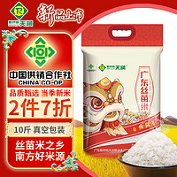 新供销天润 广东 丝苗米 南方籼米 长粒香 大米 真空装 当季新米 5kg 十斤