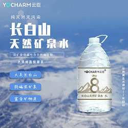 云臣 长白山天然矿泉水5L*4桶天然偏硅酸弱碱饮用煮饭泡茶露营清冽甘甜