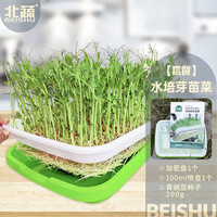 北蔬 水培豌豆蔬菜种子菜芽苗菜发芽盆育苗盘无土栽培 水培豌豆苗套餐