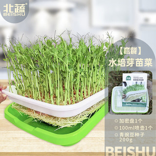 北蔬 水培豌豆蔬菜种子菜芽苗菜发芽盆育苗盘无土栽培 水培豌豆苗套餐