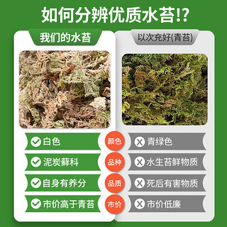 漫生活干水苔/苔藓(特级)营养土蝴蝶兰君子兰乌龟盆栽蓬松保湿景观100g