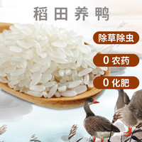 谷米集大米/糙米/糯米 三个一起拍 实发5袋