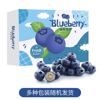 云南蓝莓 12盒礼盒装 约125g/盒